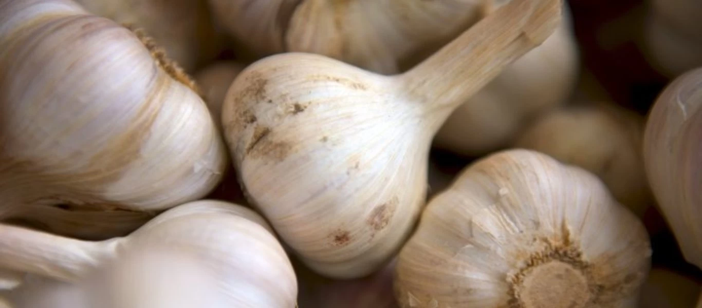 Περιμένετε 10 λεπτά πριν χρησιμοποιήσετε το κομμένο σκόρδο - Δείτε τον λόγο